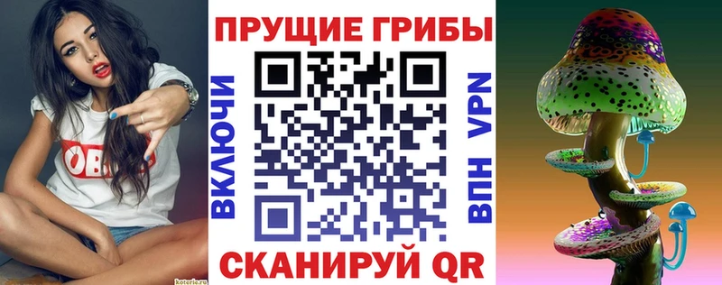 Галлюциногенные грибы мухоморы  Велиж 